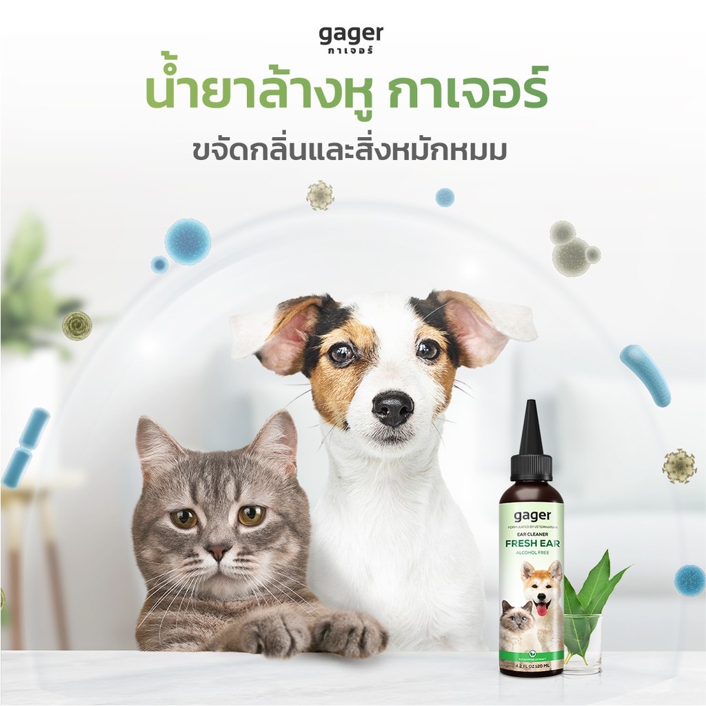 Gager น้ำยาเช็ดหูแมว/หมา โลชั่นทำความสะอาดหู สำหรับสัตว์เลี้ยง ช่วยลดกลิ่น ป้องกันไรหู 120ml.