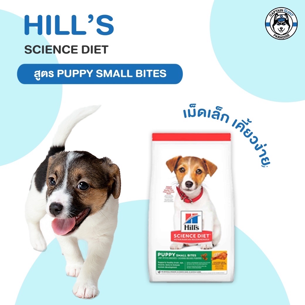 Hill's Science Diet Puppy Small Bites อาหารลูกสุนัข หรือแม่สุนัขตั้งท้อง/ให้นม (ขนาดเม็ดเล็ก) ขนาด 2.04kg.