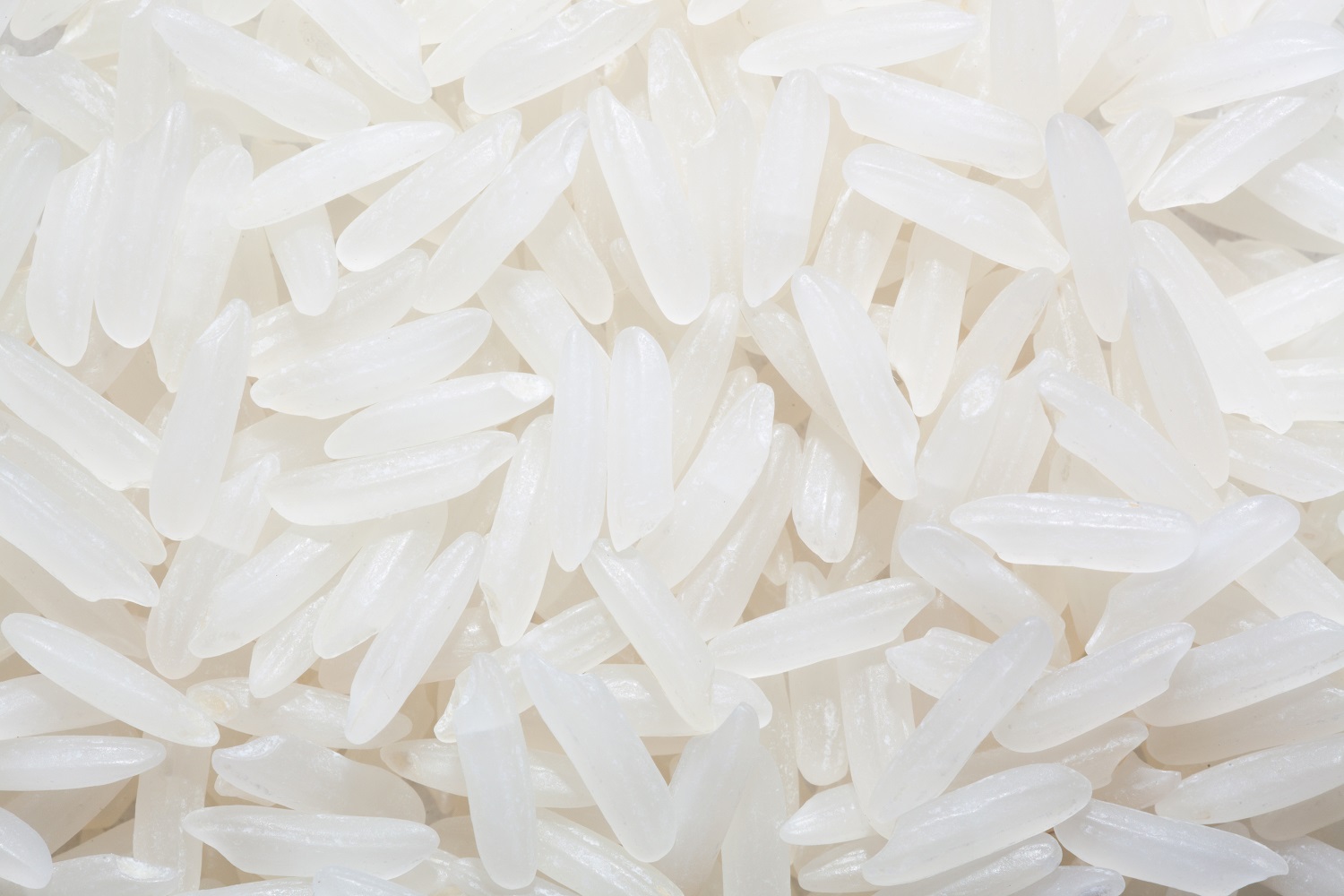 Thai Hom Mali Jasmine Rice Agricolecorp
