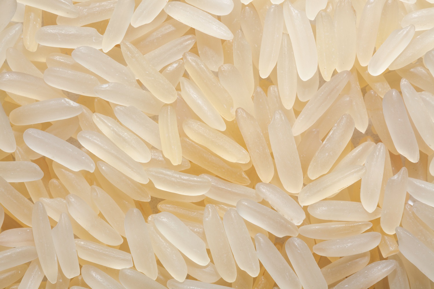 Converted Rice Thai Long Grain Parboiled Rice - agricolecorp