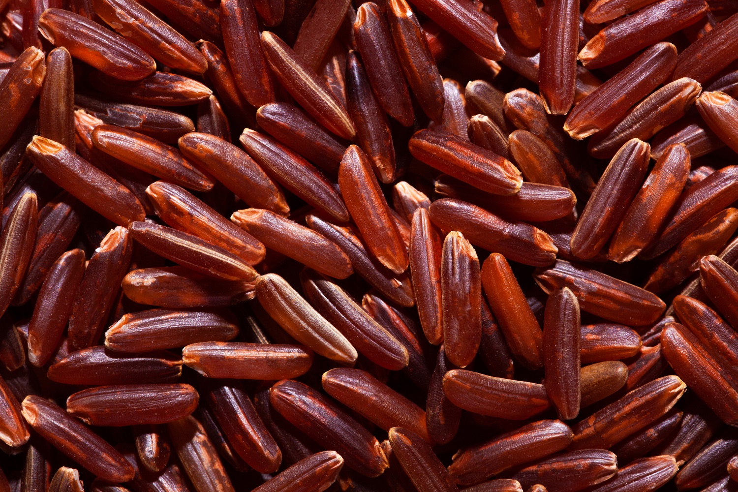 Thai Red Jasmine Cargo Rice Agricolecorp