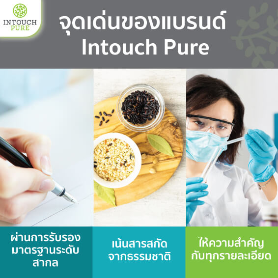 Intouch Pure Products 