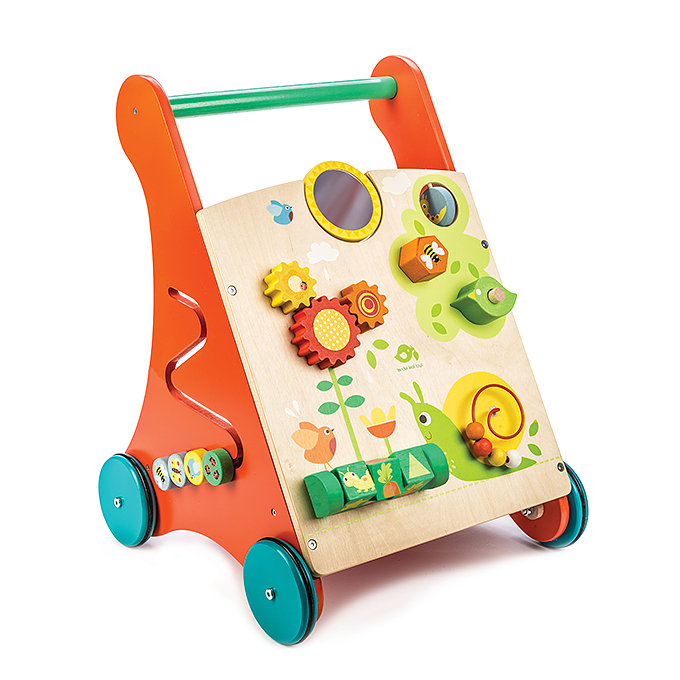 Baby Activity Walker - Tender leaf toys