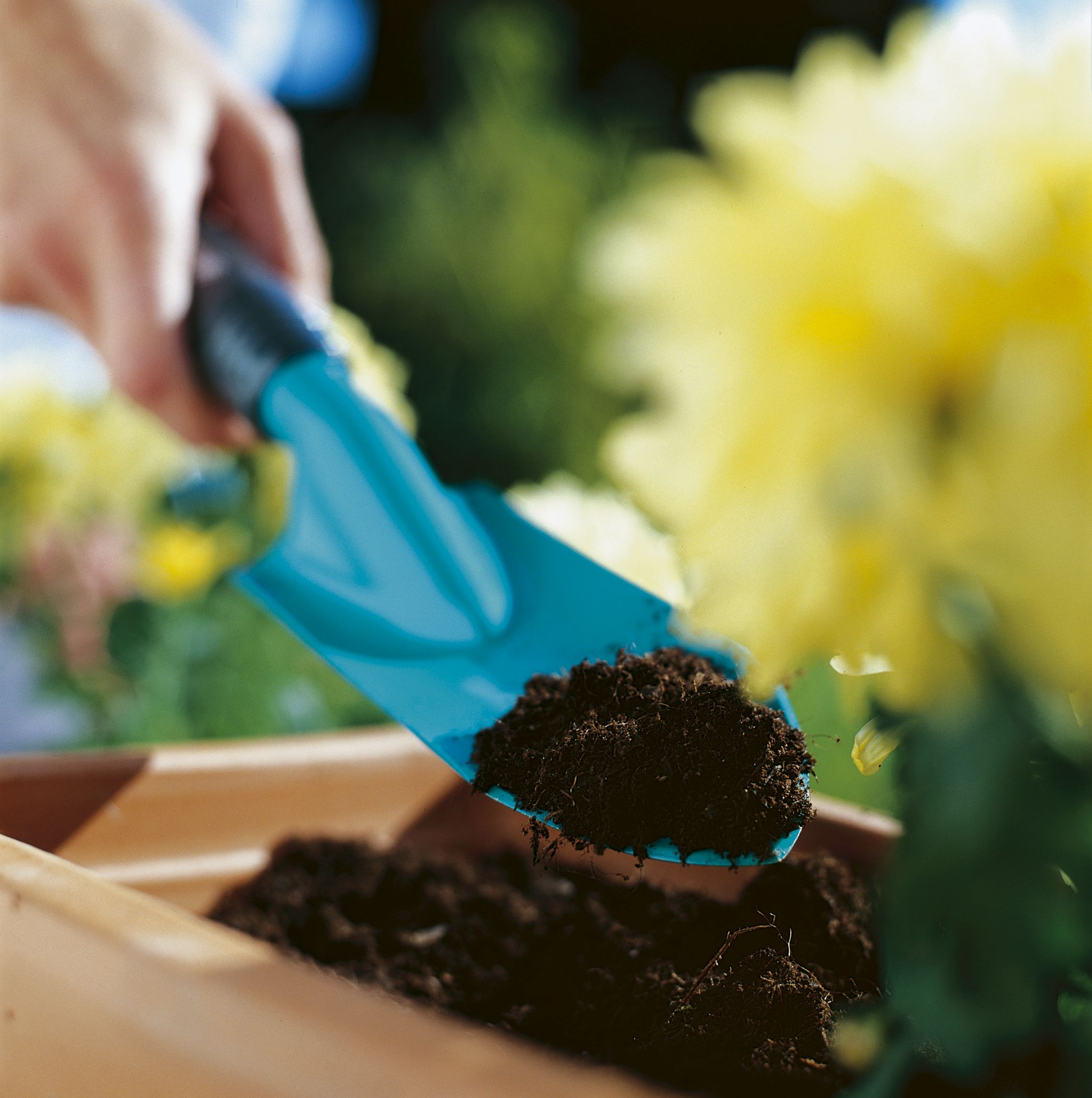 Don’t have green fingers? How to keep your garden alive