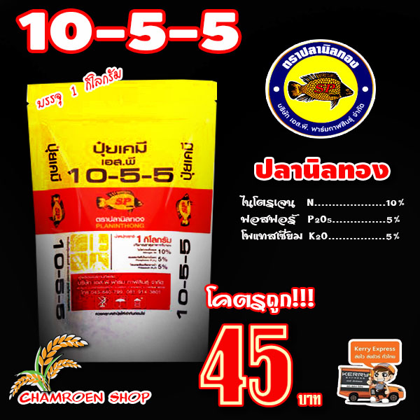 My Image 8