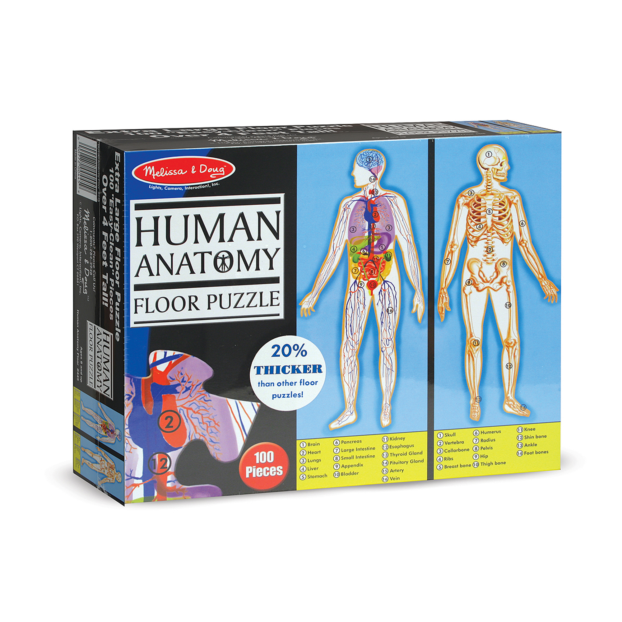 Melissa & Doug รุ่น 445 Floor Puzzle Human Anatomy 100pc จิ๊กซอกระดาษ 100 ชิ้น เรียนรู้ Anatomy ร่างกายของเรา ส่งเสริมการมีสมาธิ