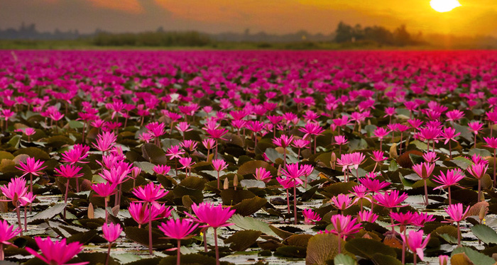 รูปภาพที่เกี่ยวข้อง