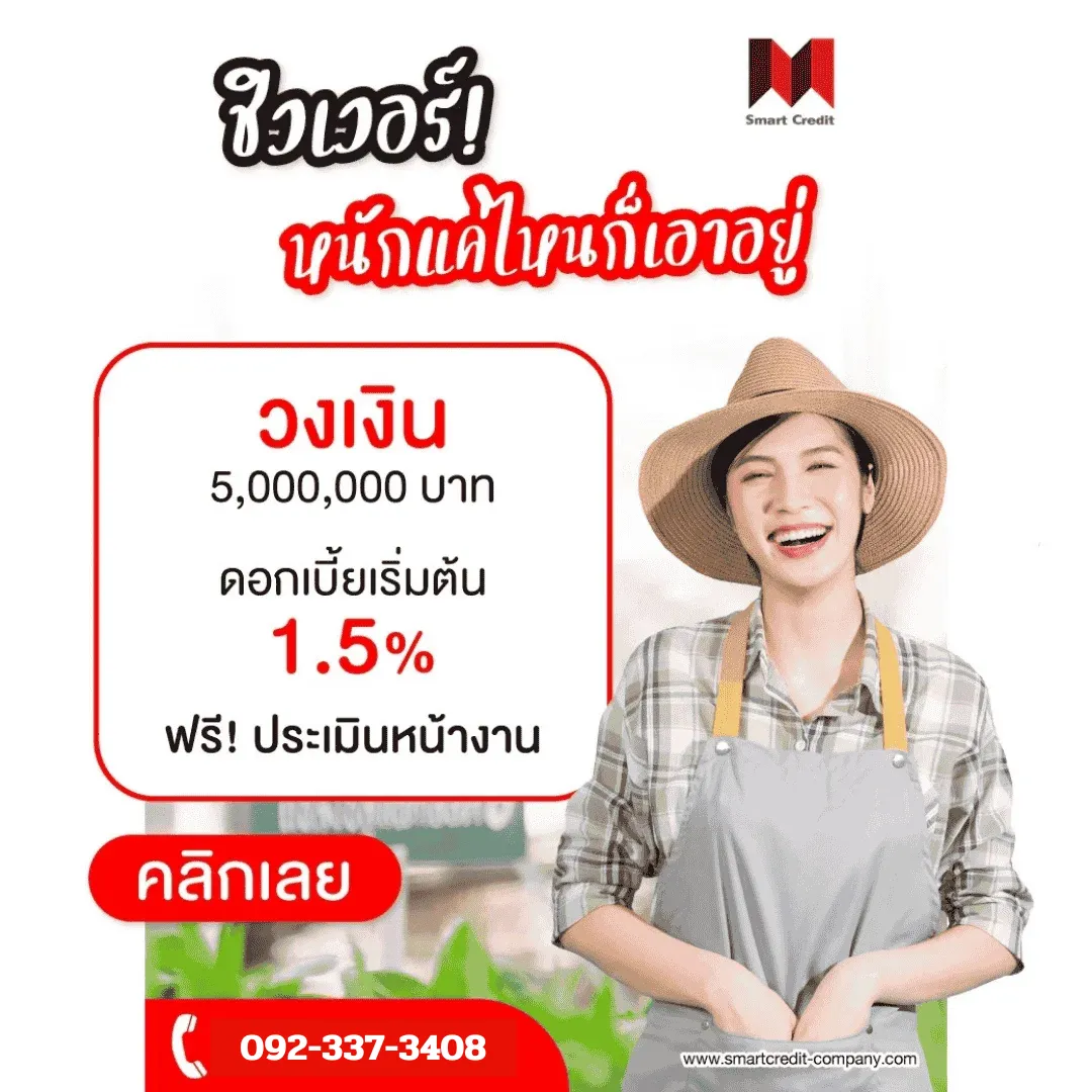 รูปแบบการใช้สินเชื่อเพื่อการลงทุน รูปแบบการใช้สินเชื่อเพื่อการลงทุน