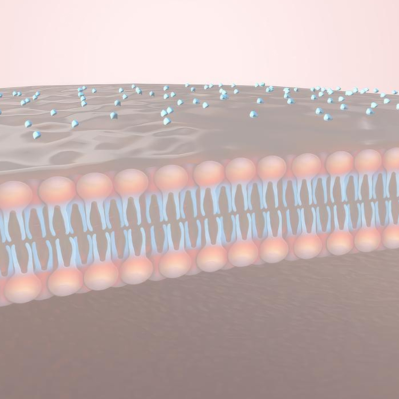 NBL Gluta Marine Collagen Lycopene Complex