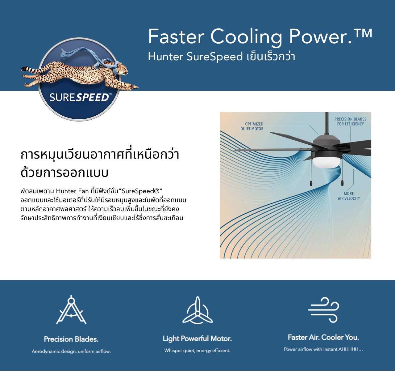 hunterfanthailand