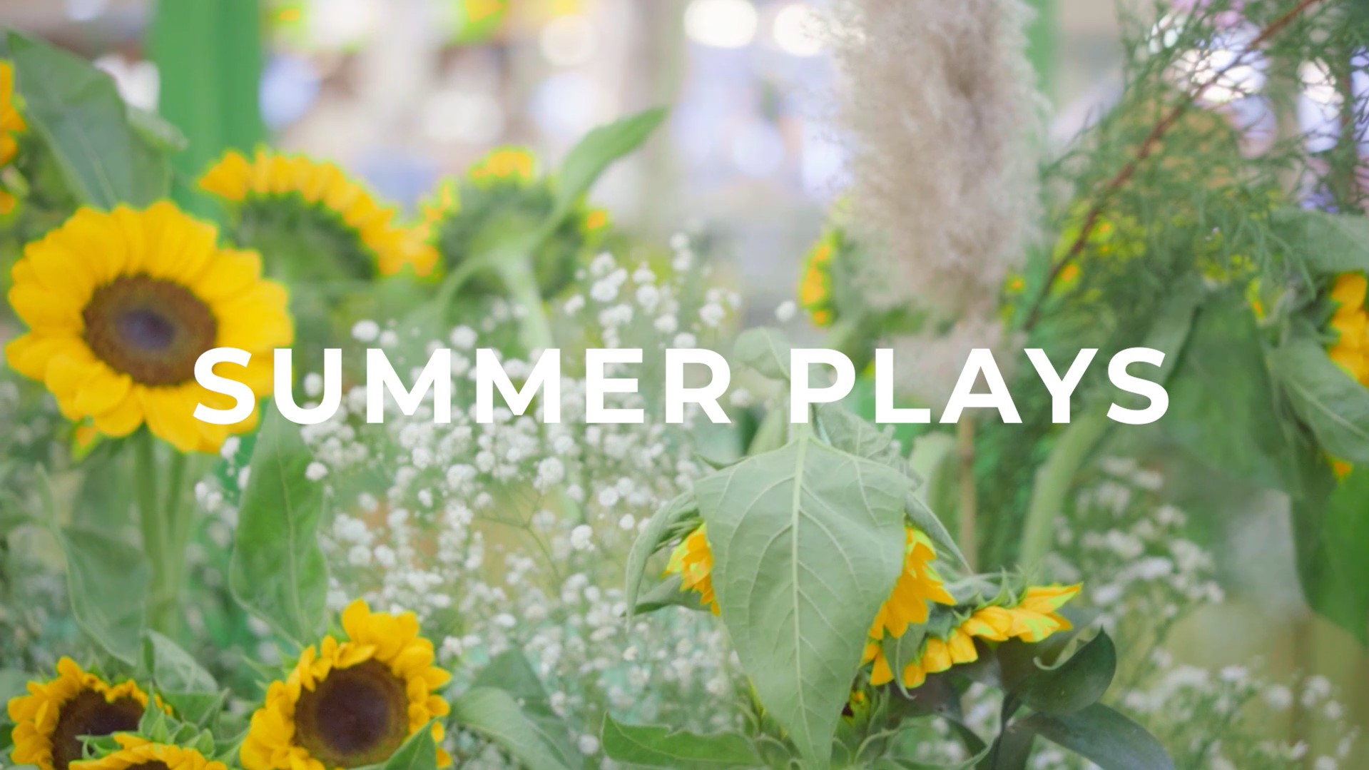 Summer Play @Central Plaza Chiang Mai Airport