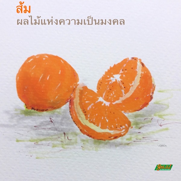 ส้ม (Orange)