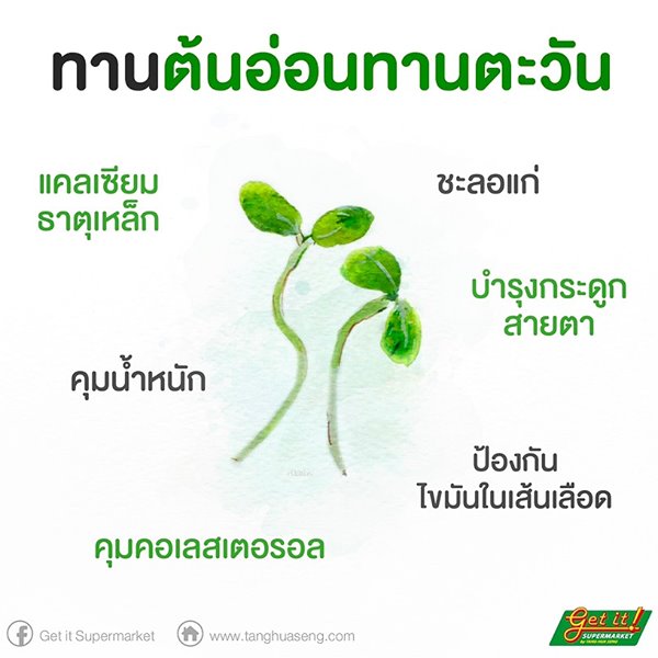 ต้นอ่อนของผัก (Microgreen)