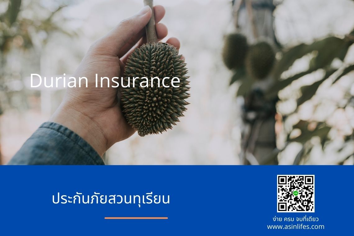 ประกันภัยสวนทุเรียน Durian Insurance