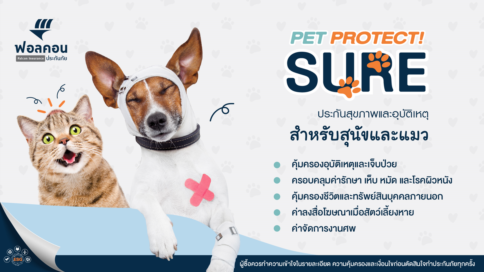 ประกันสุขภาพและอุบัติเหตุสำหรับสุนัขและแมว