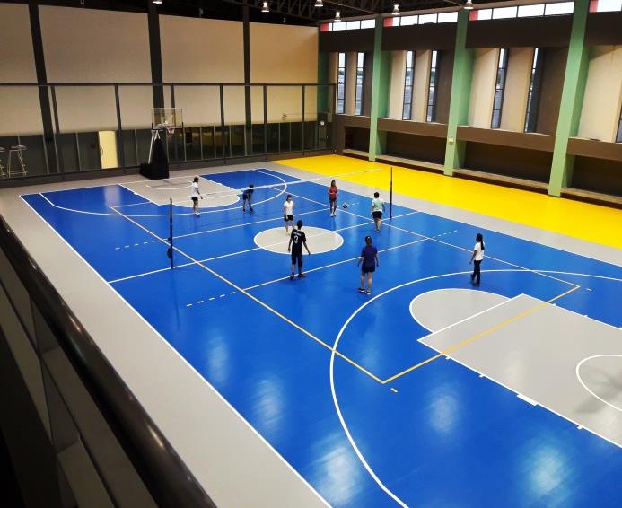 Polyurethane Rubber  :  Polyurethane Rubber Sport Surface (Thickness 2.0-7.0 mm.)