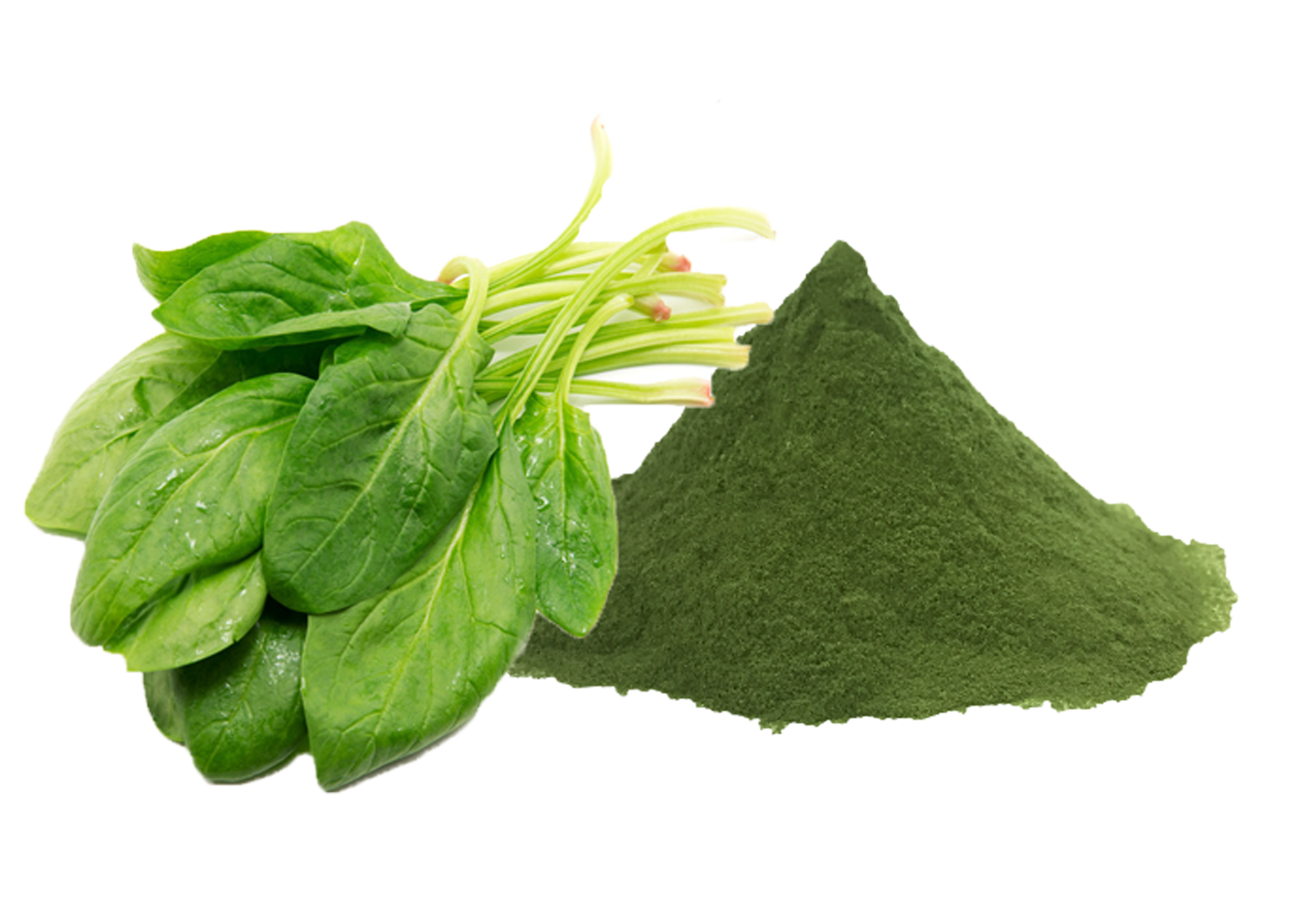 Dry spinach Abbracorp