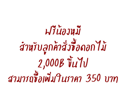 ดอกไม้ วาเลนไทน์ Valentine ช่อกุหลาบวาเลนไทน์ กุหลาบสีน้ำเงิน