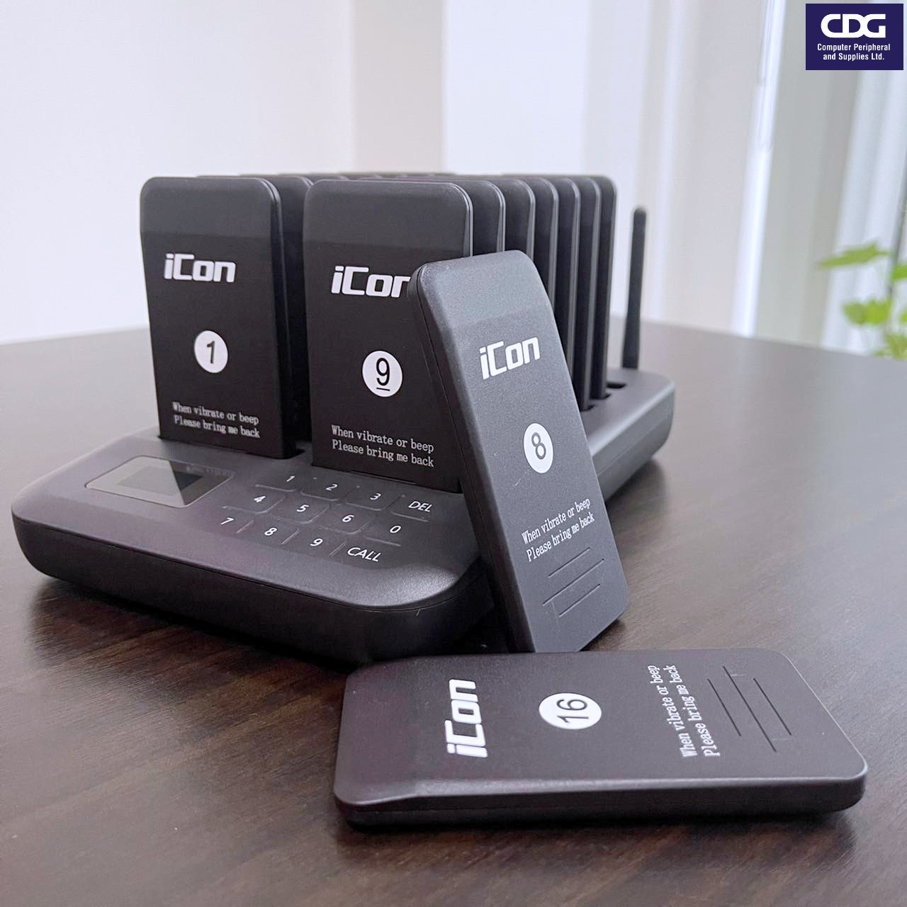 CTP302 Vibrating Pager Touchable Wireless Pager 