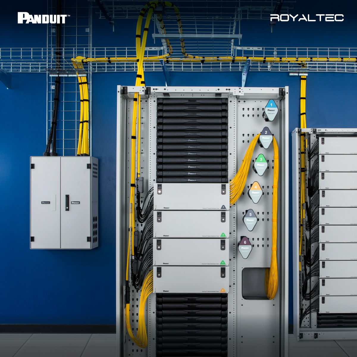 Panduit cable management
