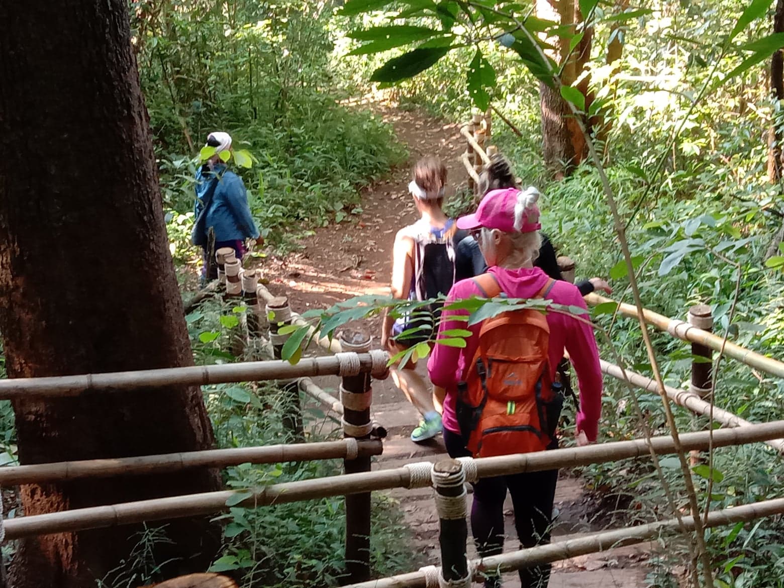 Morning Hiking Doi Inthanon + Pachor the grand Canyon - Gowithjoetravel