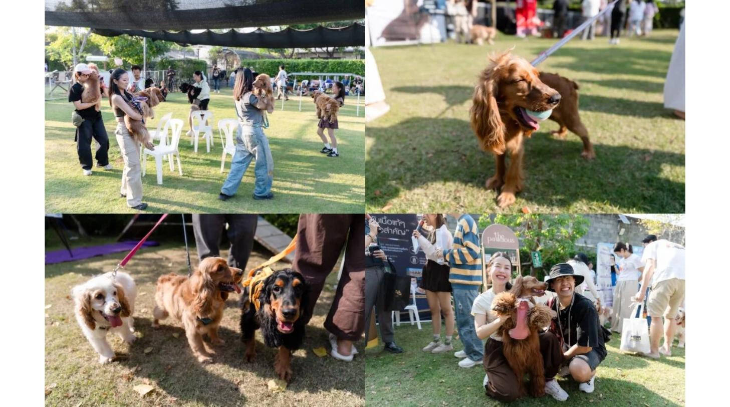 กิจกรรมเกมและน้องหมาค็อกเกอร์ภายในงาน