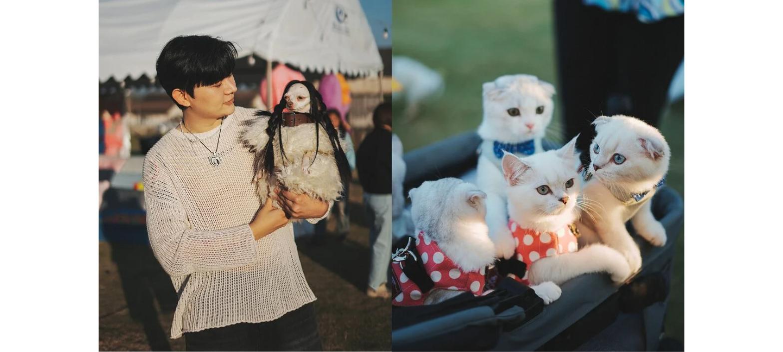 น้องหมาและน้องแมวในงาน Pawmatic Night