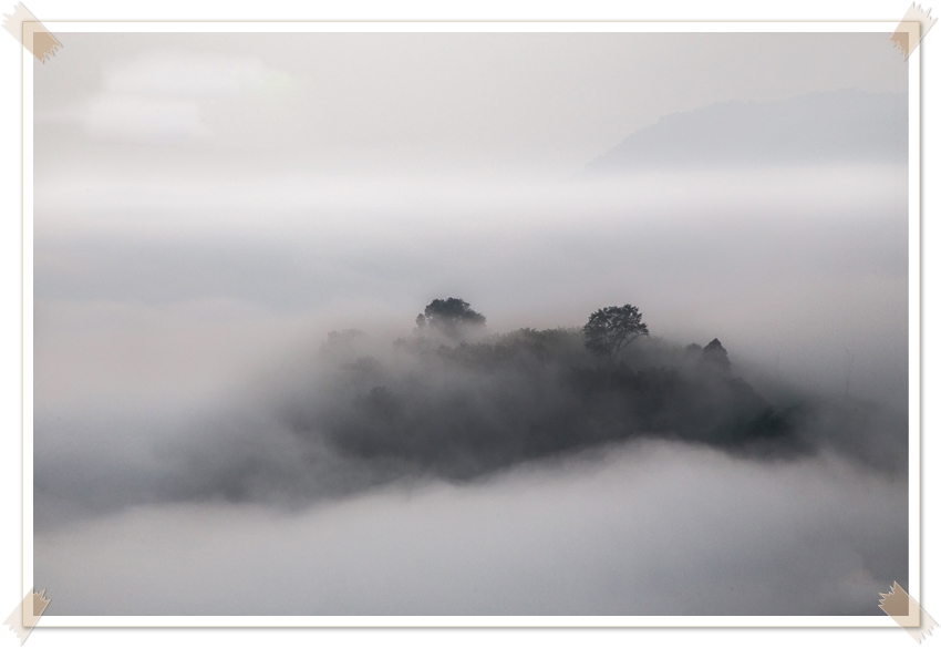 Phu Huay Ison sea of ​​mist