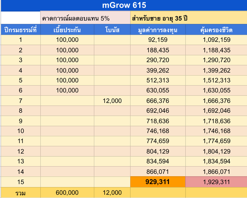ประกันสะสมทรัพย์ควบการลงทุน ประกันสะสมทรัพย์ควบการลงทุน