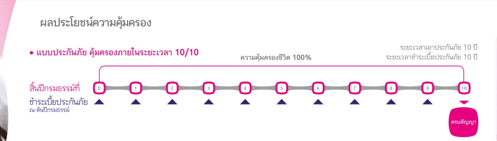 ประกันชีวิต