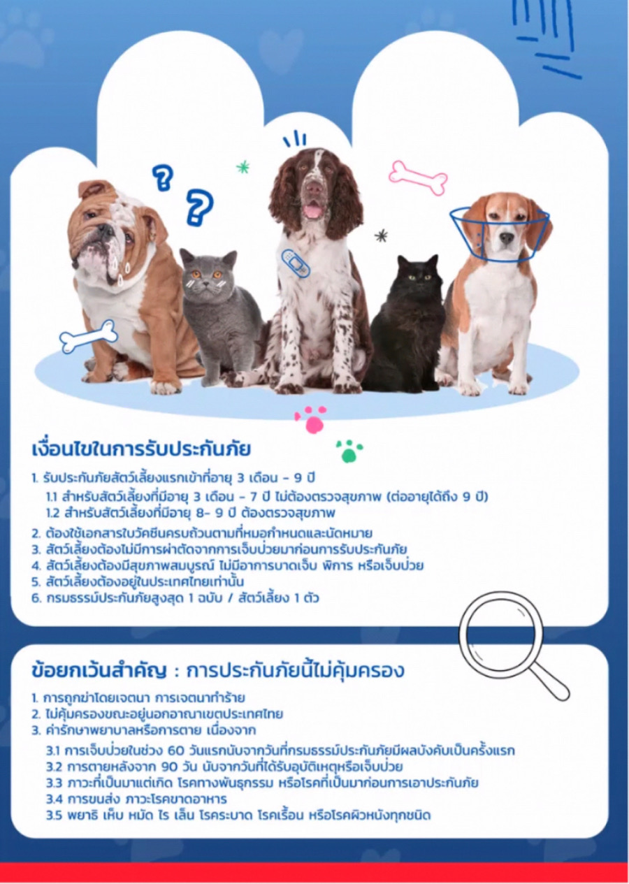ประกันสุขภาพ ประกันสุขภาพ