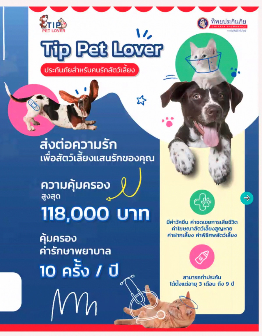 ประกันสุขภาพ ประกันสุขภาพ