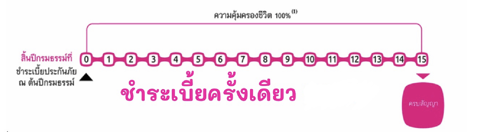 ประกันชีวิต