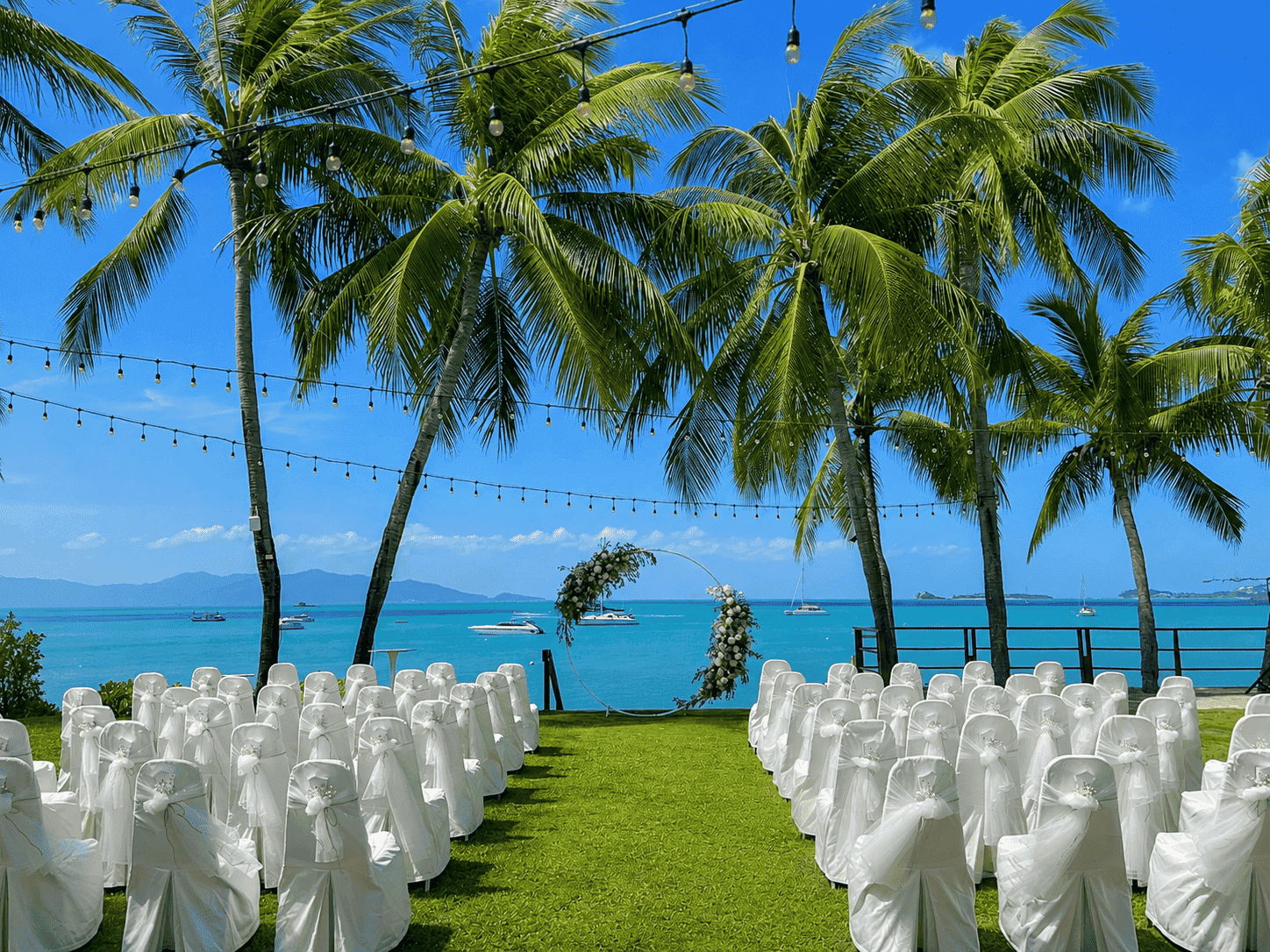 Celes samui