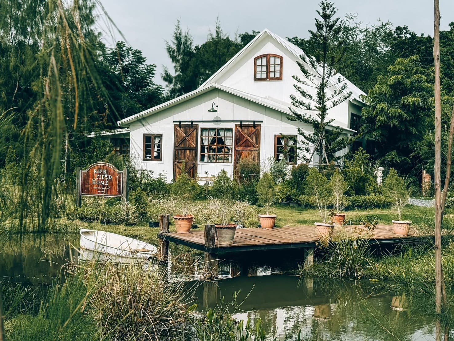 Rice Field Home Farm Stay