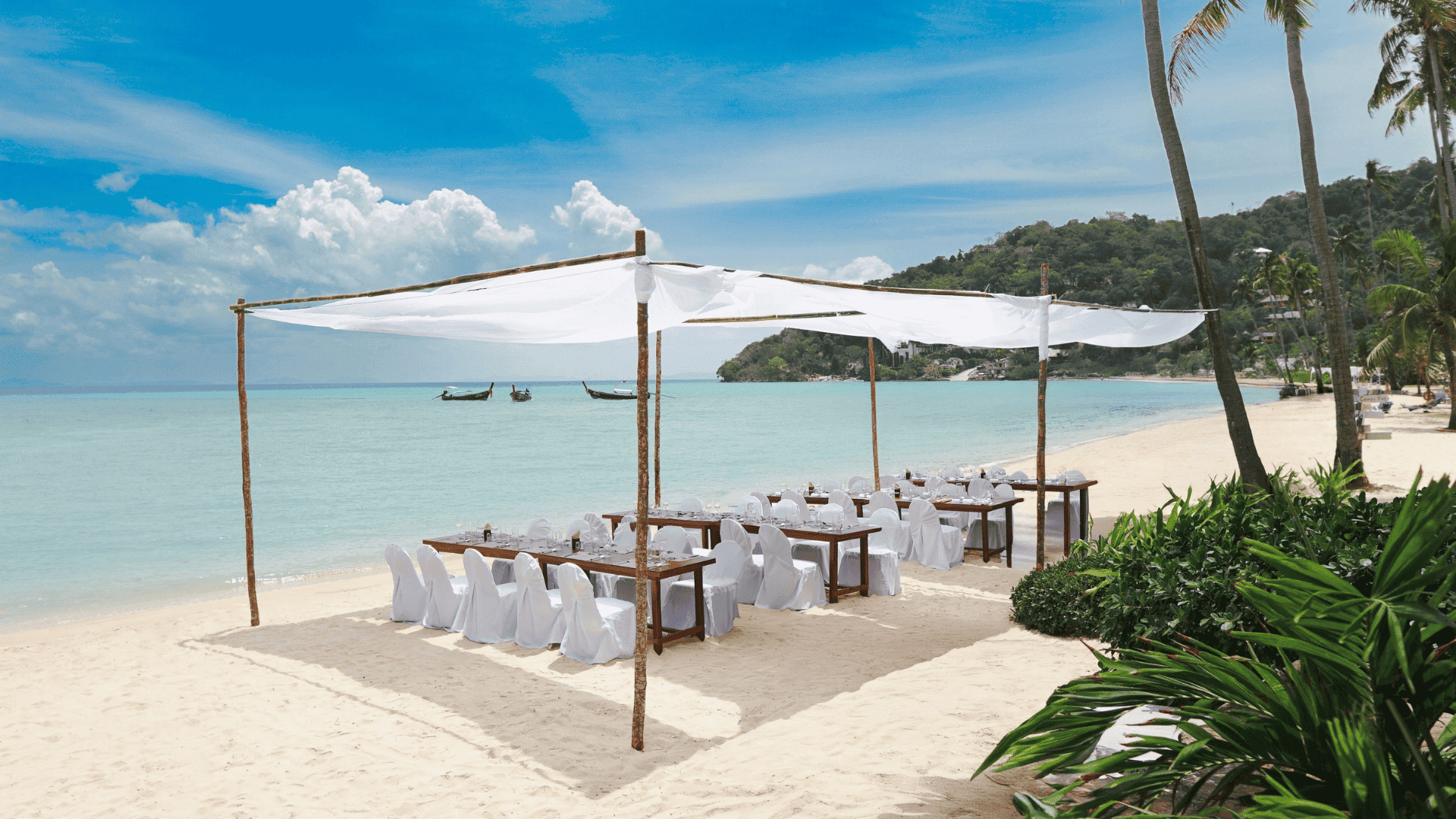 Saii phi phi wedding Saii phi phi wedding