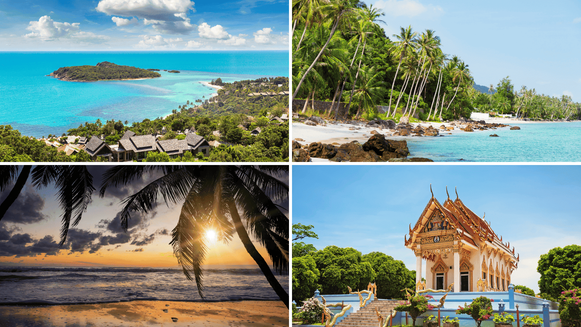 Samui wedding
