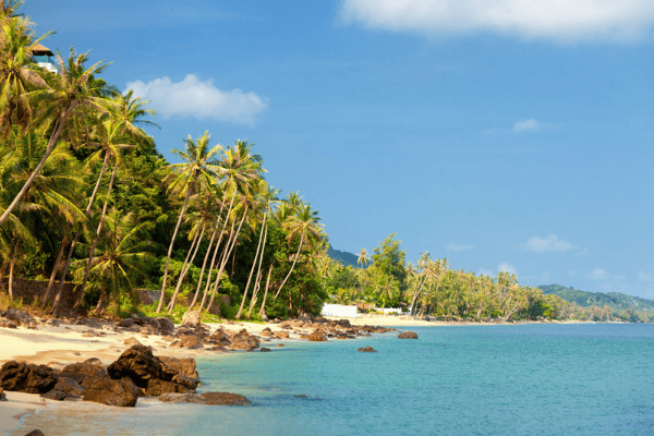 Samui wedding