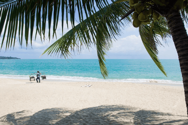 Samui wedding