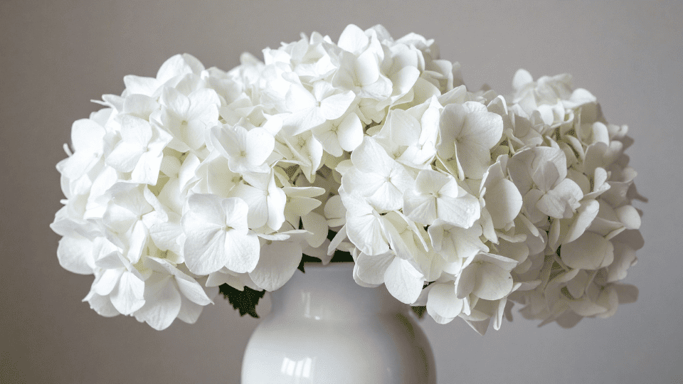 Wedding Flower