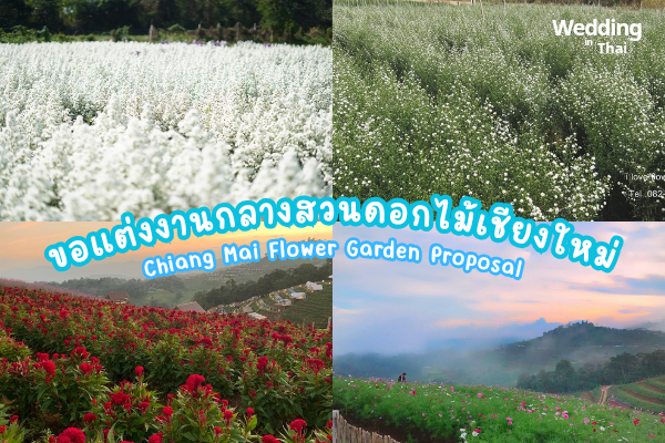 Proposal