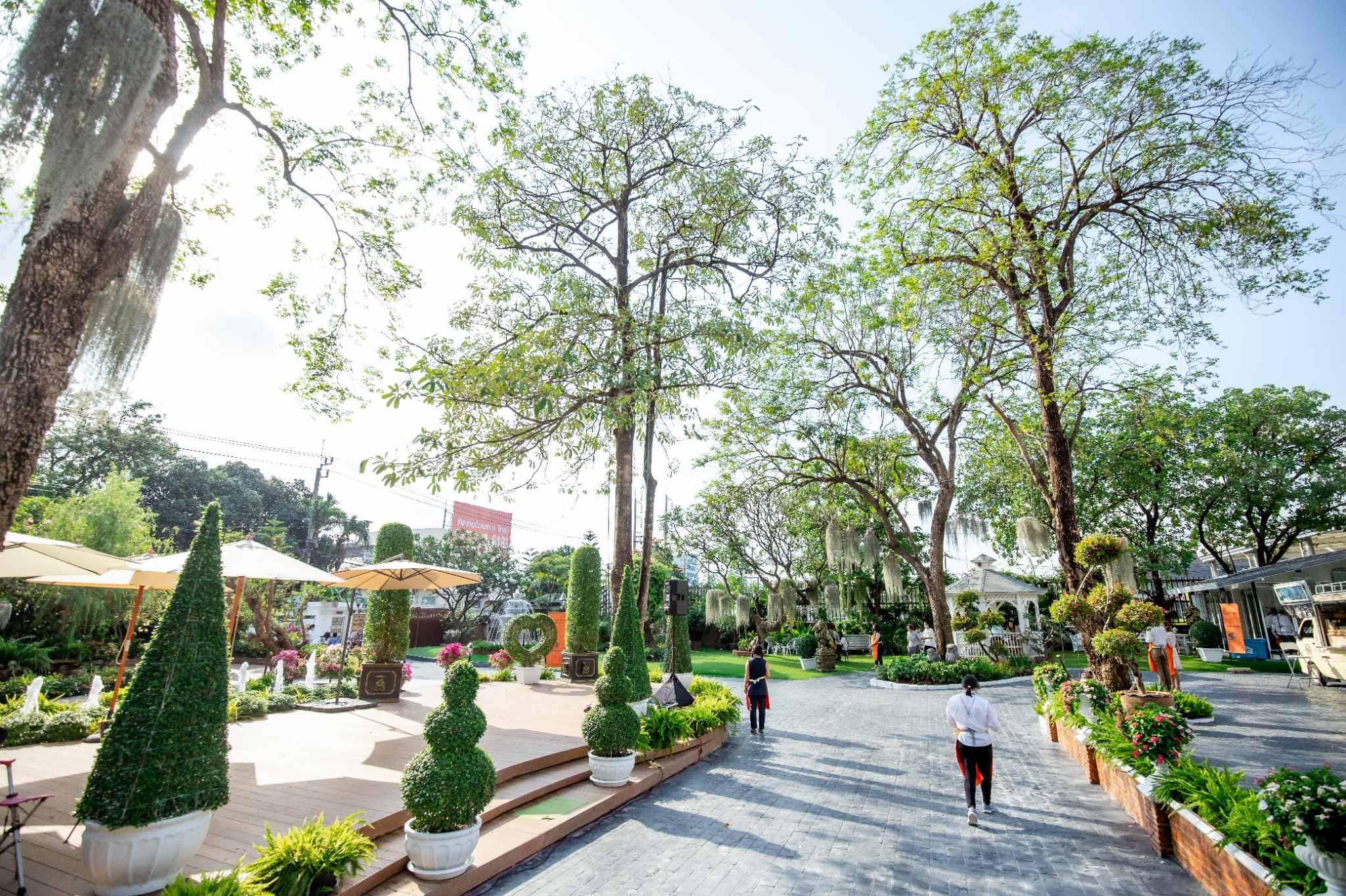 คาเฟ่จัดงานแต่ง คาเฟ่จัดงานแต่ง