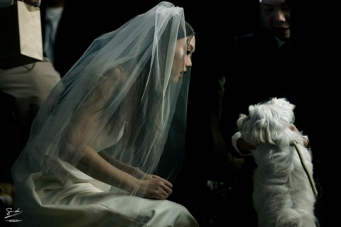 ถ่ายภาพแต่งงาน ถ่ายภาพแต่งงาน