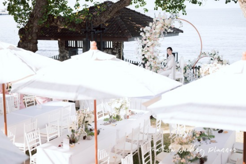 wedding planner wedding planner