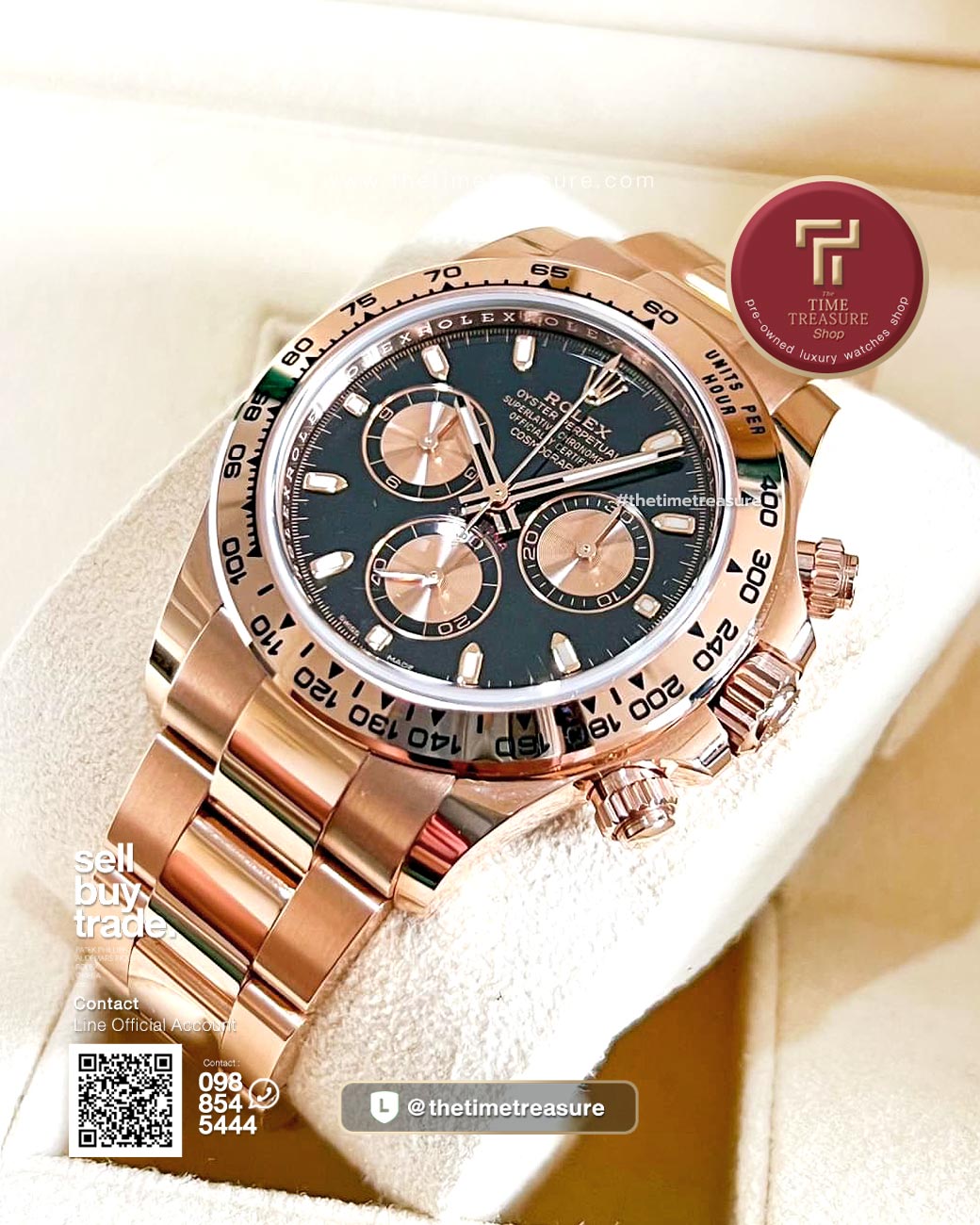 Daytona or sales rose fond noir