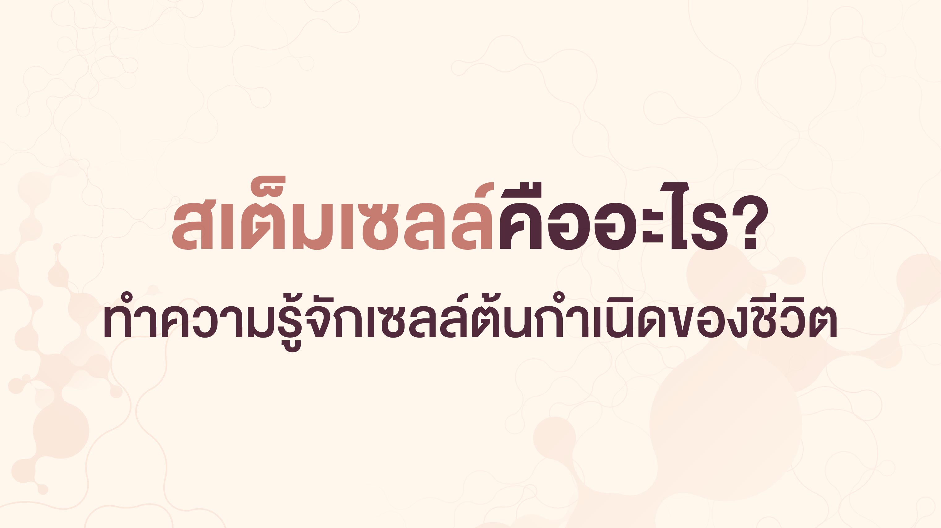 สเต็มเซลล์คืออะไร