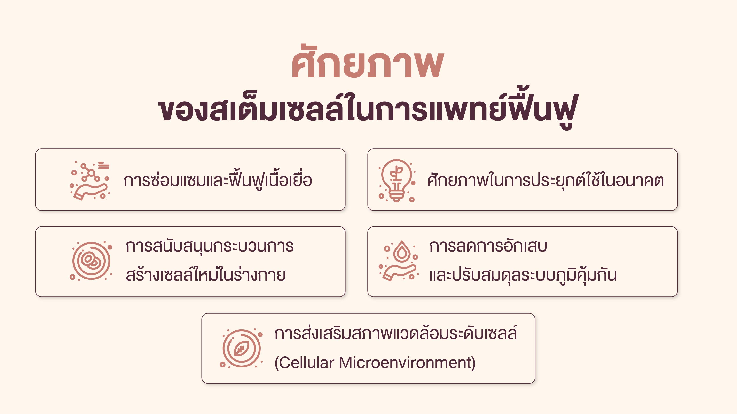 ศักยภาพของสเต็มเซลล์ในการฟื้นฟู
