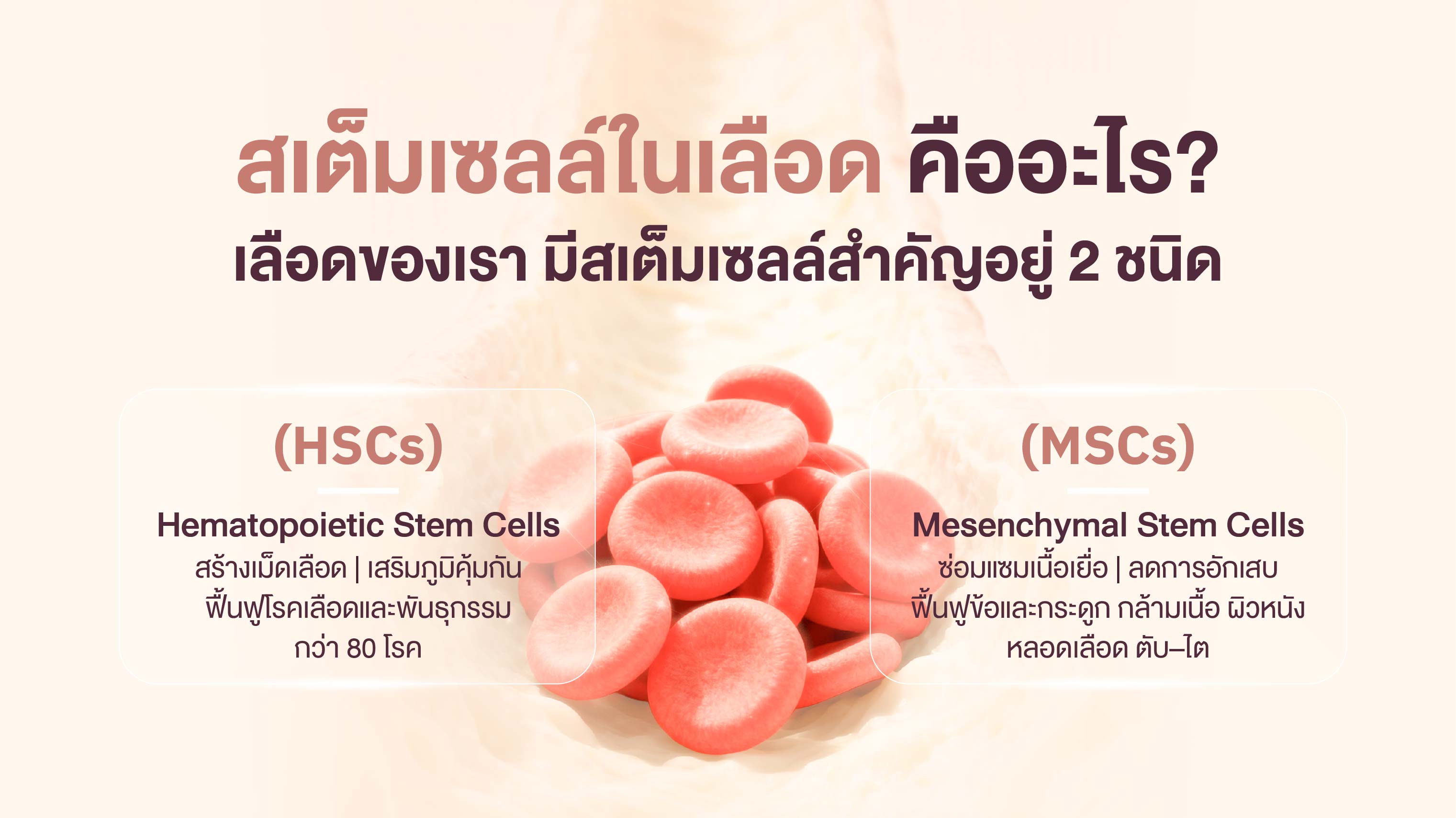 สเต็มเซลล์ในเลือด คืออะไร?