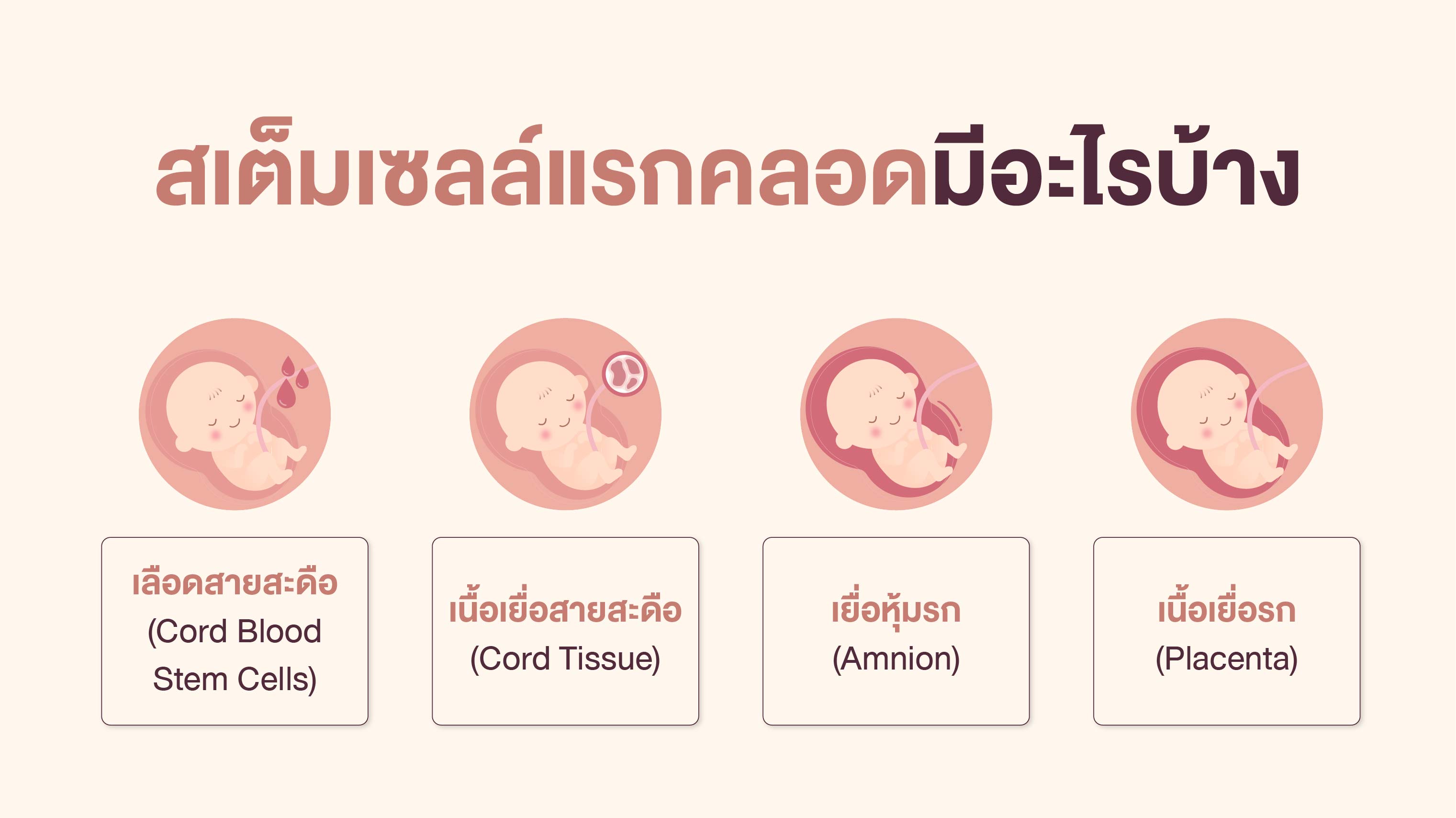 What Stem Cells Can Be Collected at Birth?