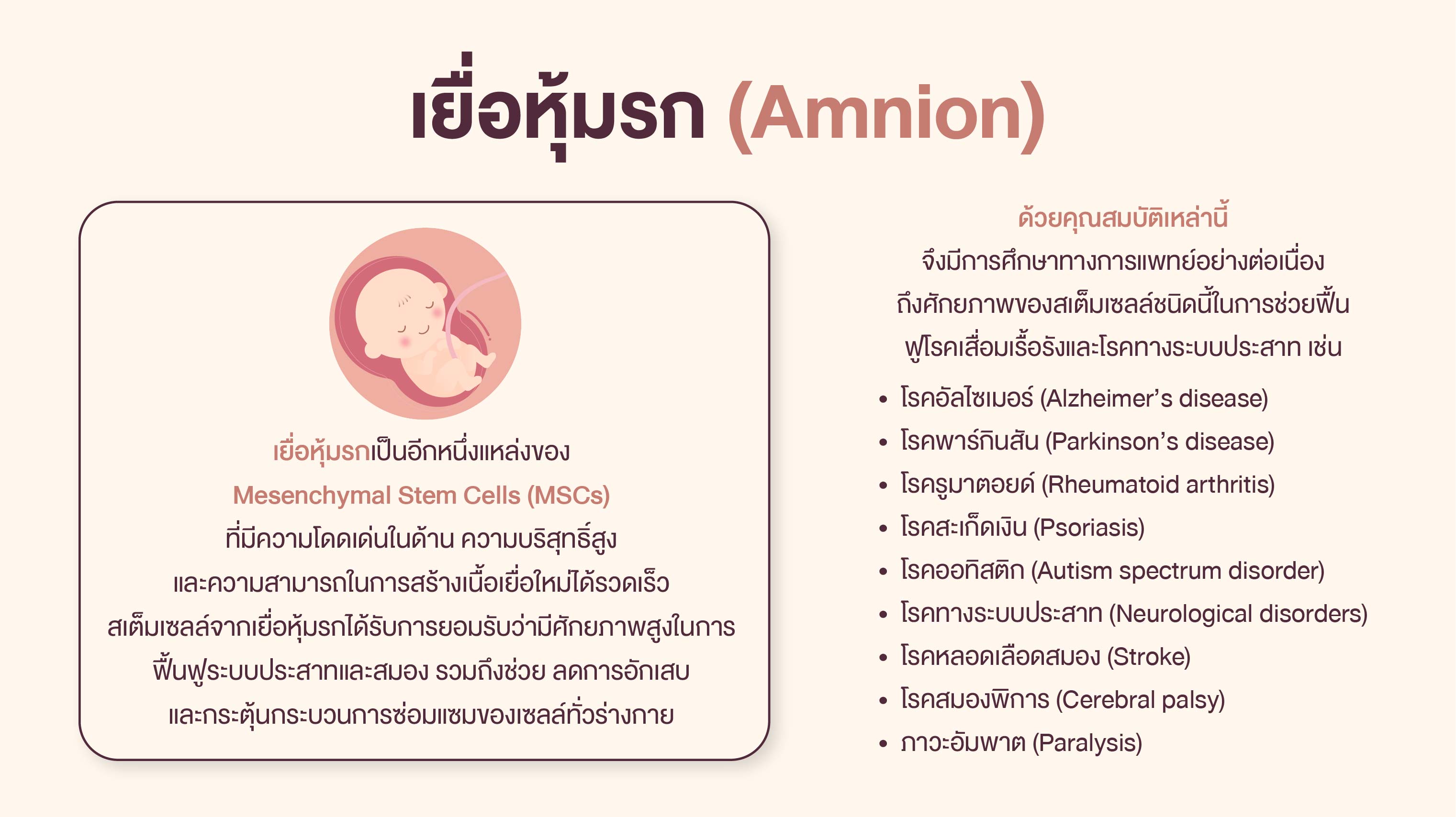 Amnion (Amniotic Membrane)